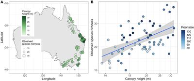 Vegetation complexity and pool size predict species richness of forest birds